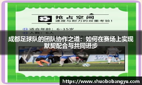 成都足球队的团队协作之道：如何在赛场上实现默契配合与共同进步