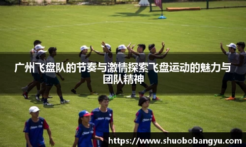 广州飞盘队的节奏与激情探索飞盘运动的魅力与团队精神
